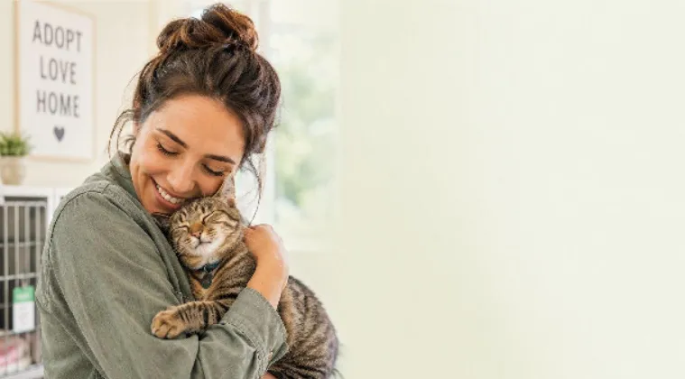 Ücretsiz Kedi Sahiplendirme İlanları ve Süreç