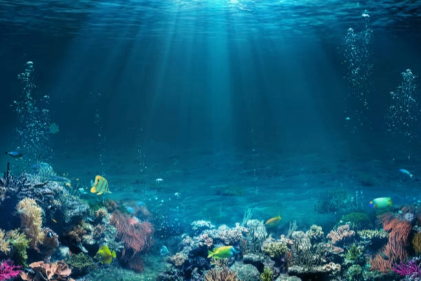 Türkiye’nin ilk dijital su altı haritası hazırlanıyor