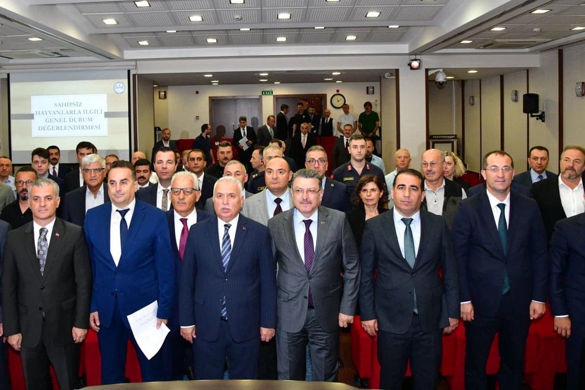 Trabzon’da sahipsiz hayvanlar için yeni dönem: TİSKOB kuruluyor