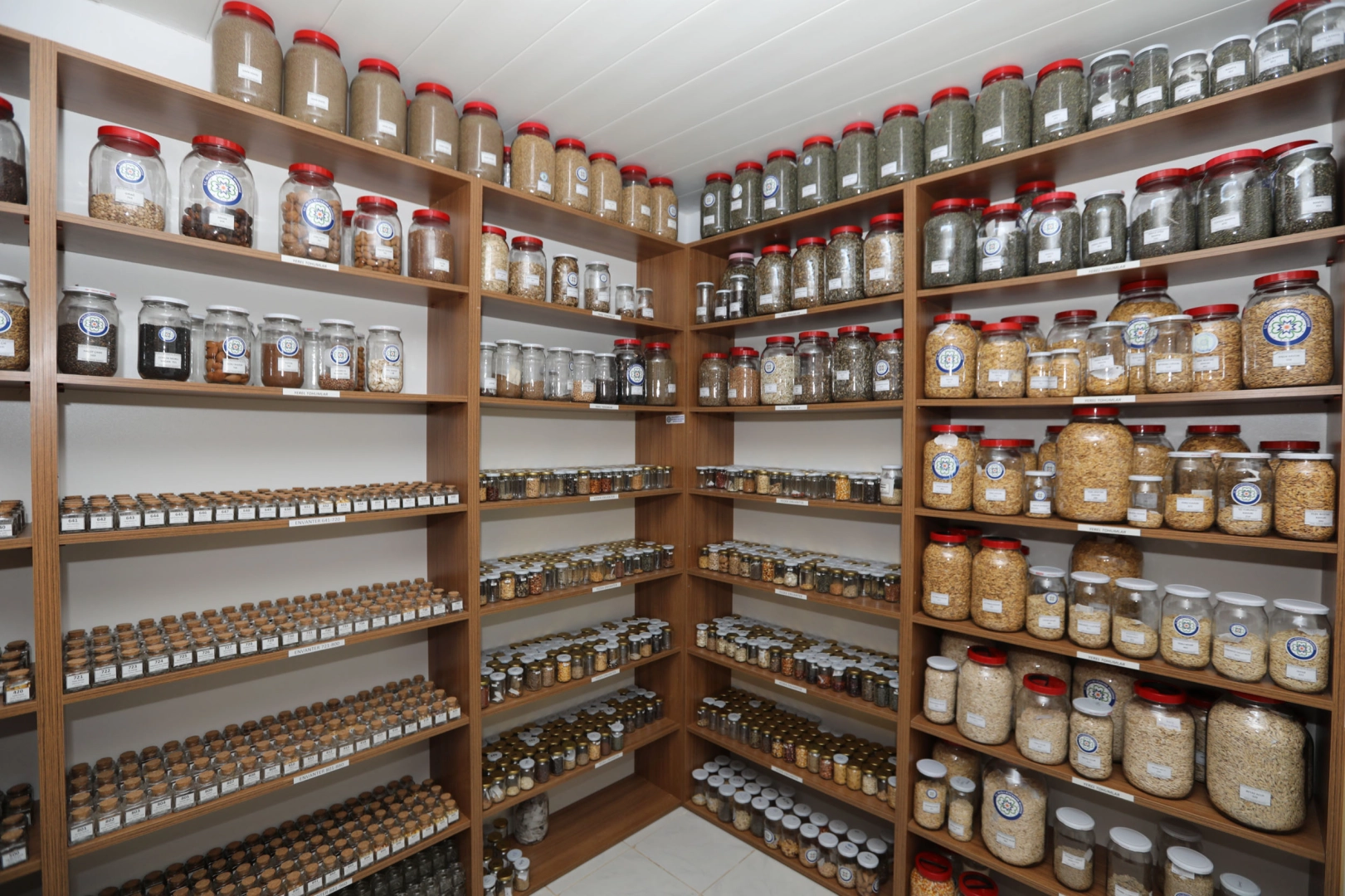 2026 yılında hedef 4 milyon yerel tohum